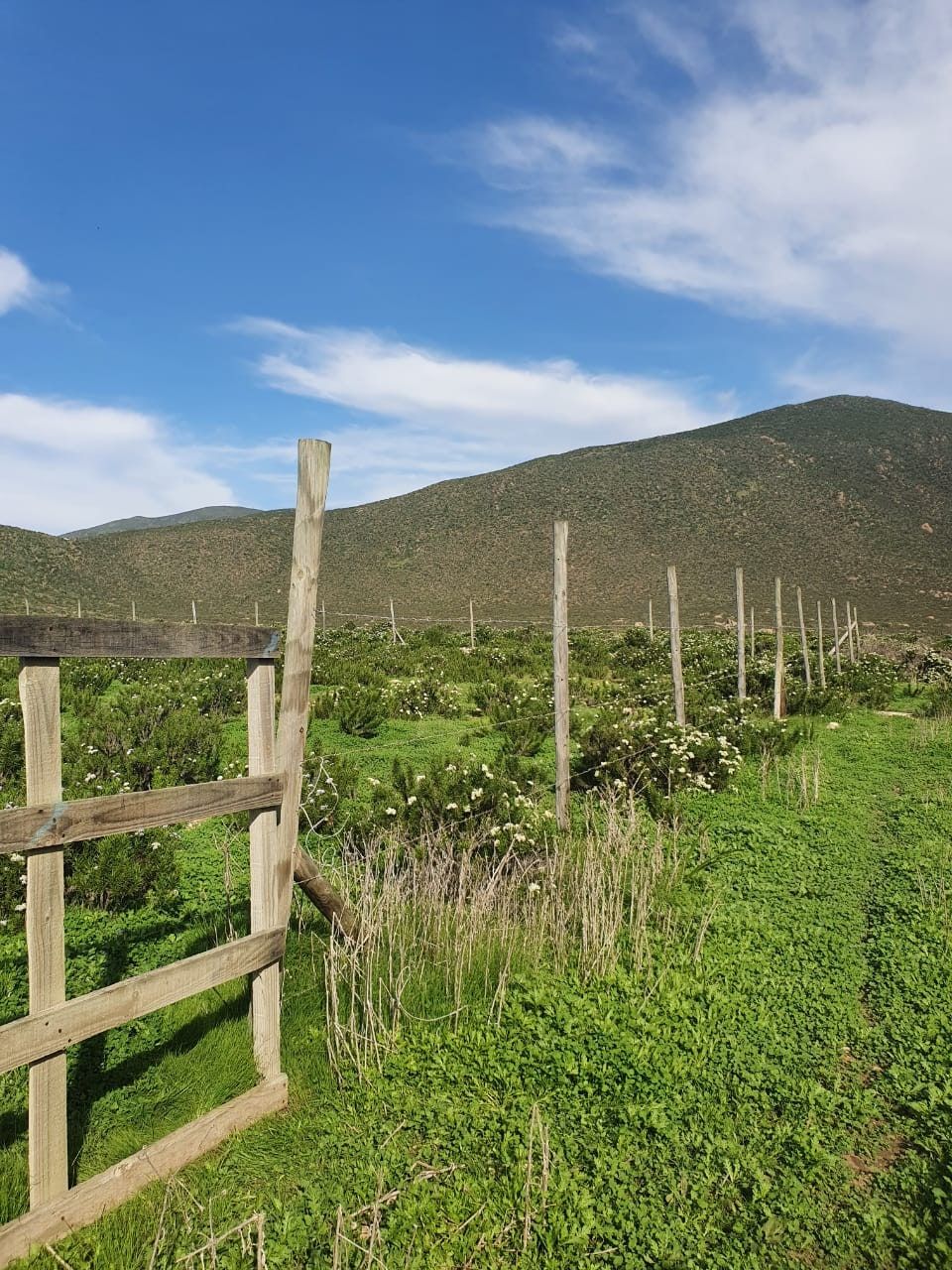 Tranquera de acceso y línea de estacas de deslinde a lo largo del terreno con vegetación autóctona.