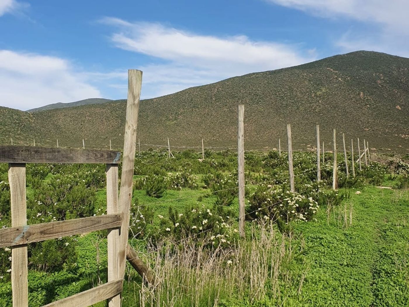 Tranquera de acceso y línea de estacas de deslinde a lo largo del terreno con vegetación autóctona.