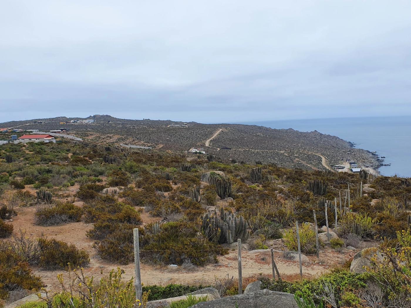Vista amplia del sitio con cactus, cerco y borde costero