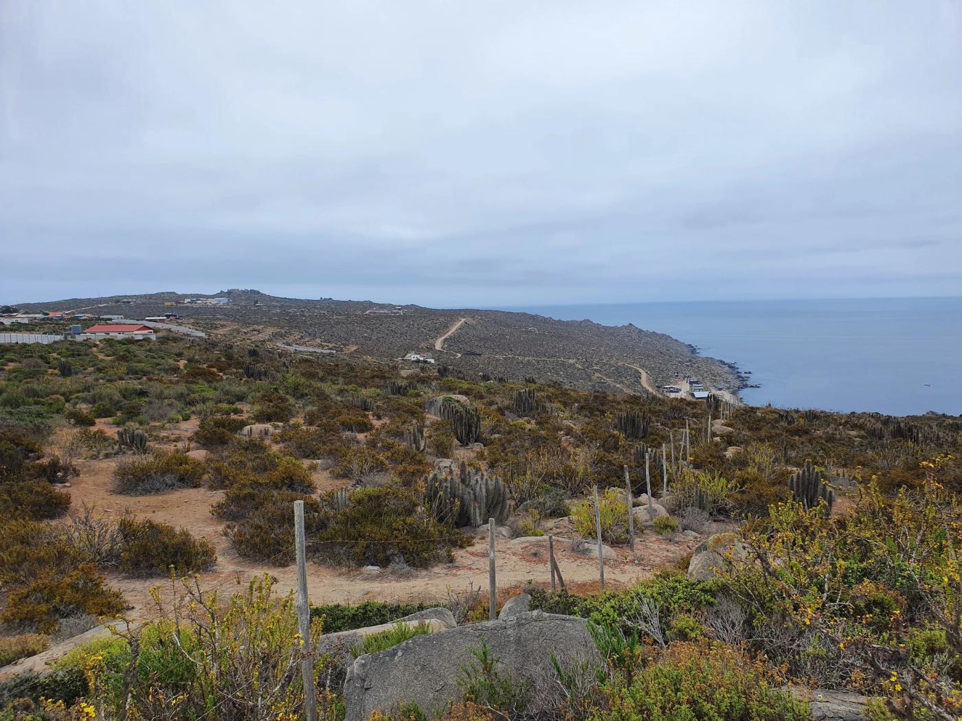Terreno con cactus y roca, litoral y mar abierto al fondo