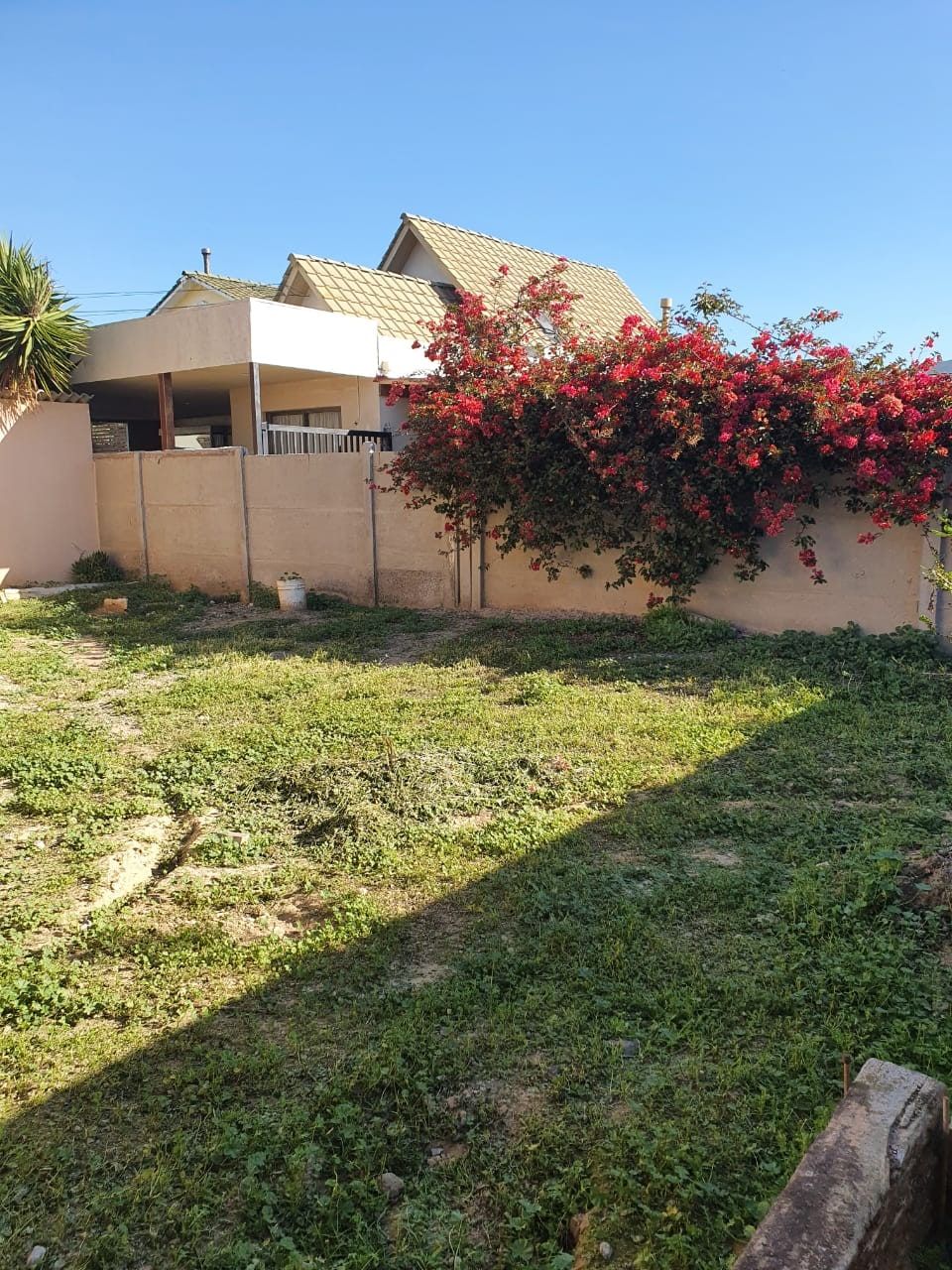Vista de la casa desde el patio, con techos a dos aguas, terraza cubierta y buganvilia junto al muro.