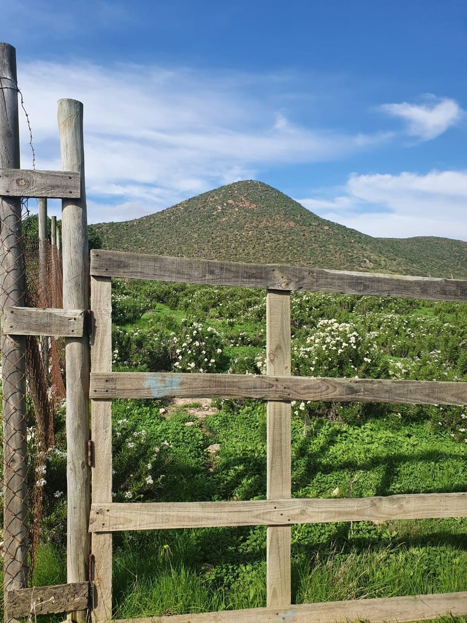 Tranquera de madera rústica en el acceso del terreno con vegetación florecida y cerro al fondo.