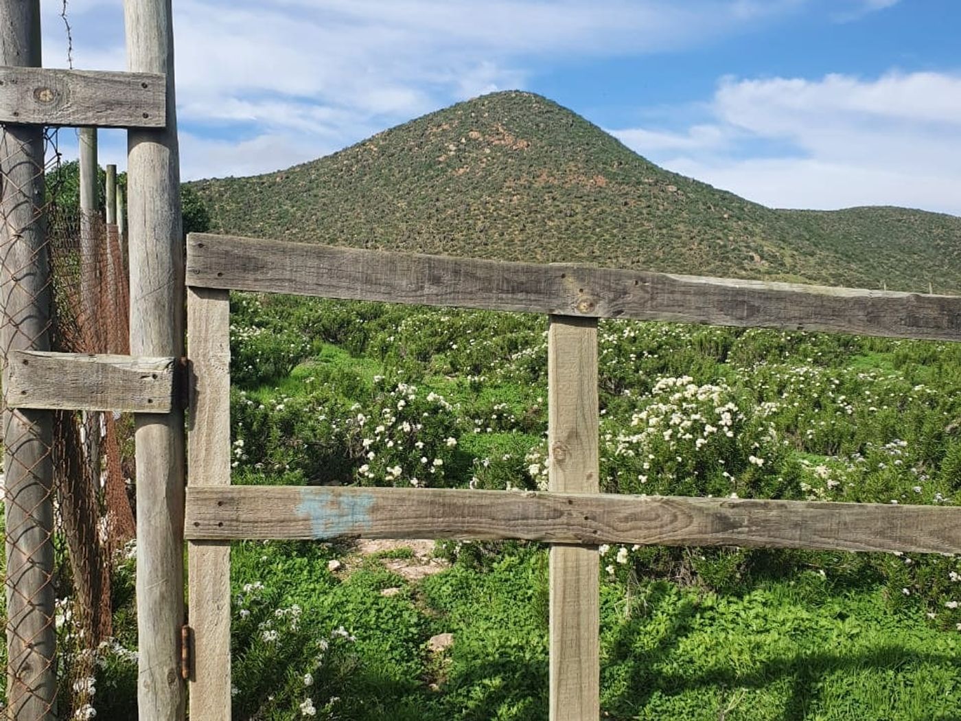 Tranquera de madera rústica en el acceso del terreno con vegetación florecida y cerro al fondo.