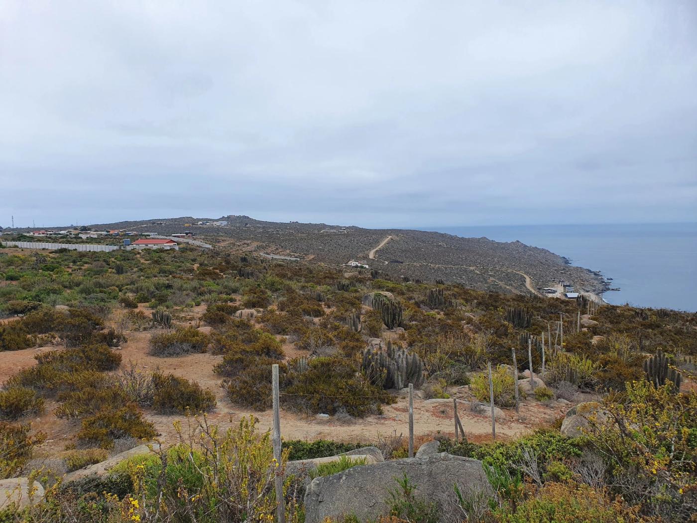 Extensión de matorral con casas vecinas y costa rocosa