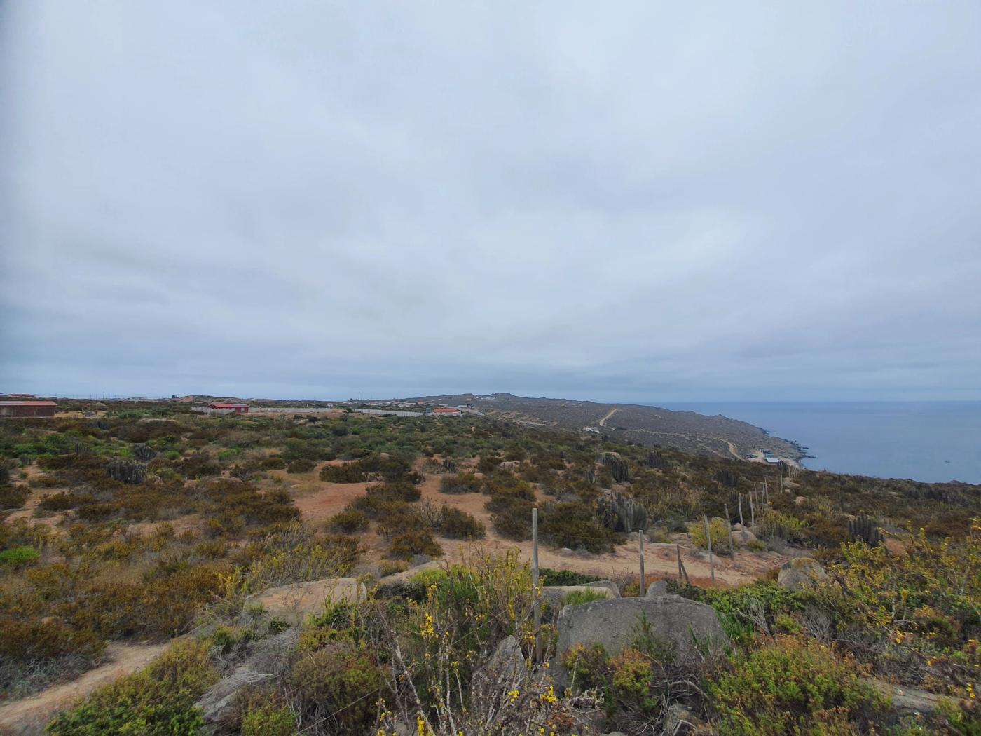 Panorámica baja del terreno con costa lejana y mucho cielo