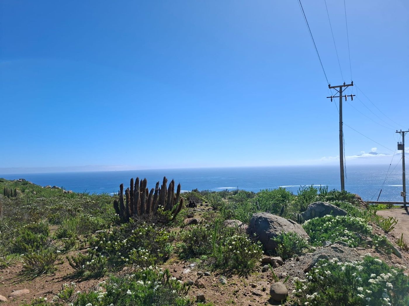 Planicie de la parcela con vegetación autóctona, cactáceas y horizonte marino despejado.