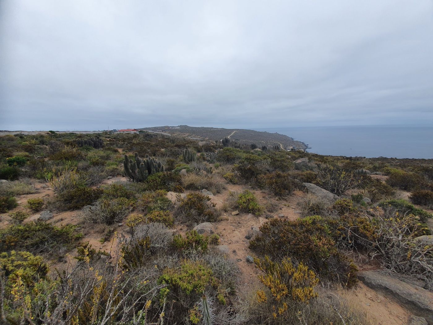Lomaje con matorral seco y punta costera al fondo