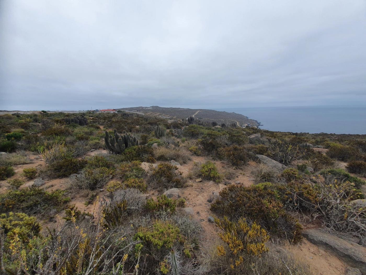 Lomaje con matorral seco y punta costera al fondo
