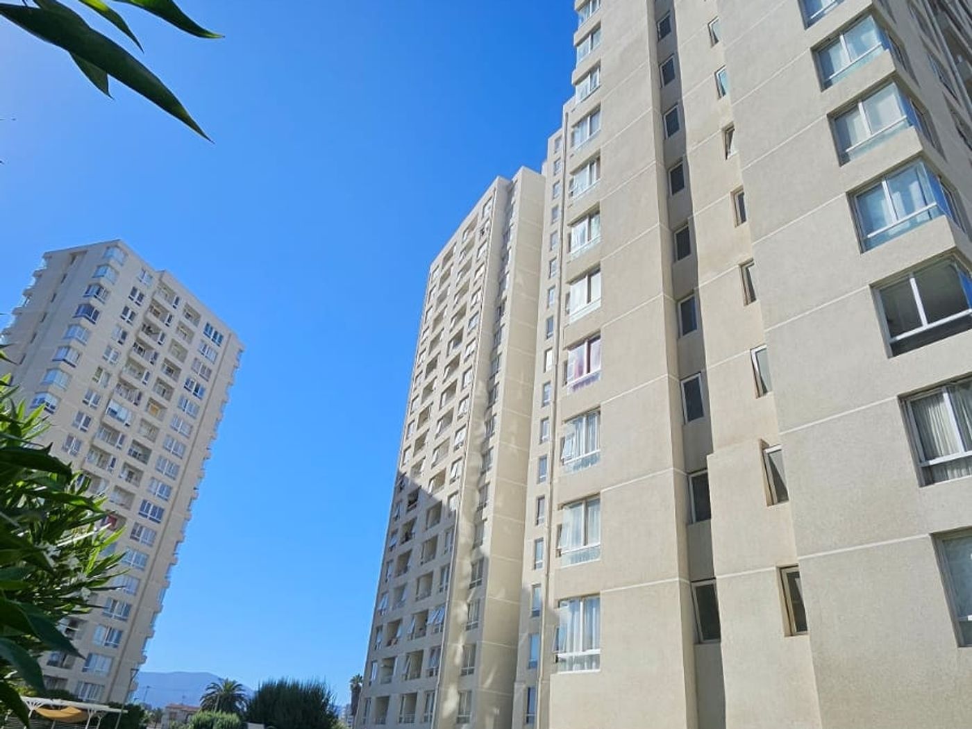 El edificio visto desde el jardín