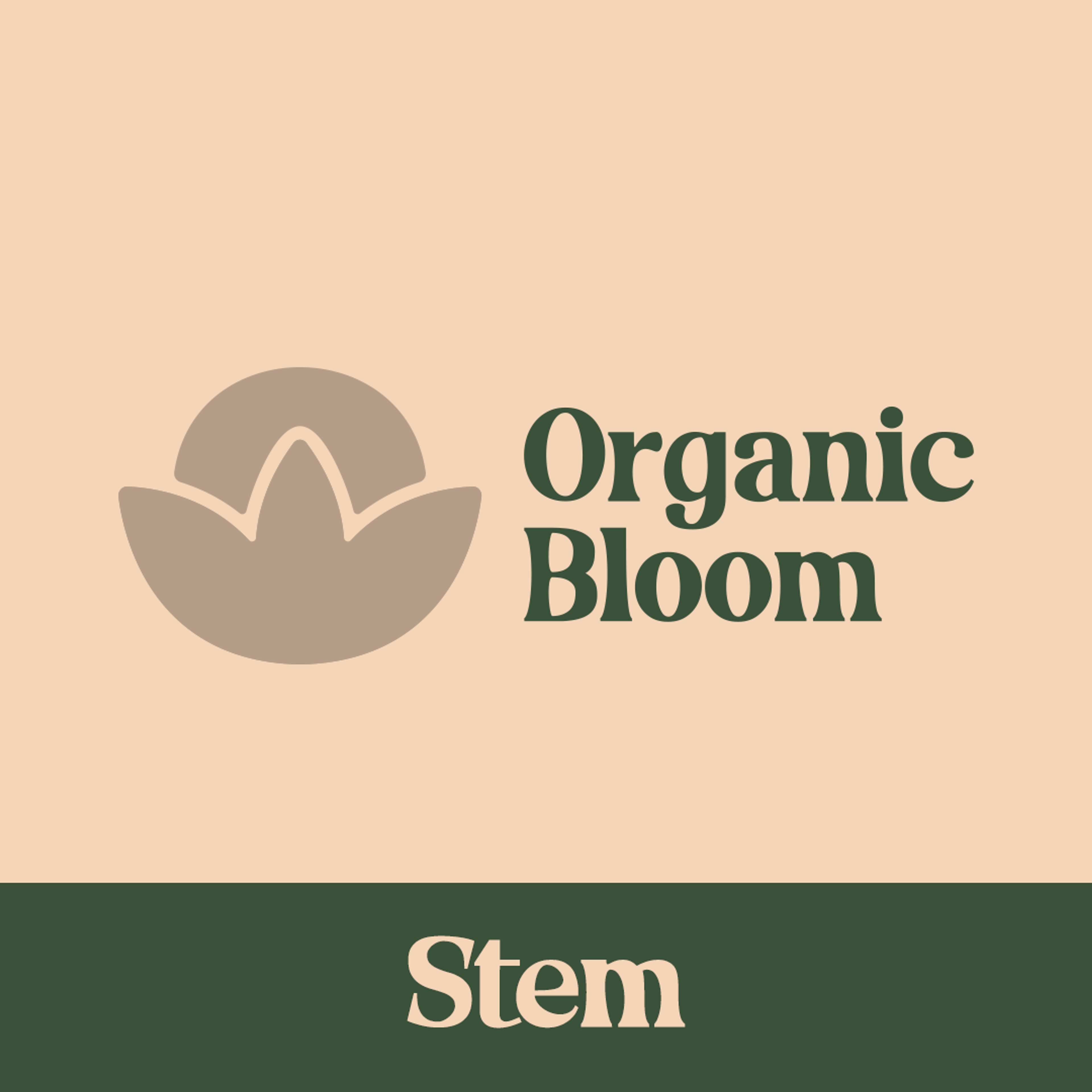 The image highlights the green stem in the Organic Bloom logo which is represented by the typography