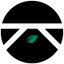 Icon for item