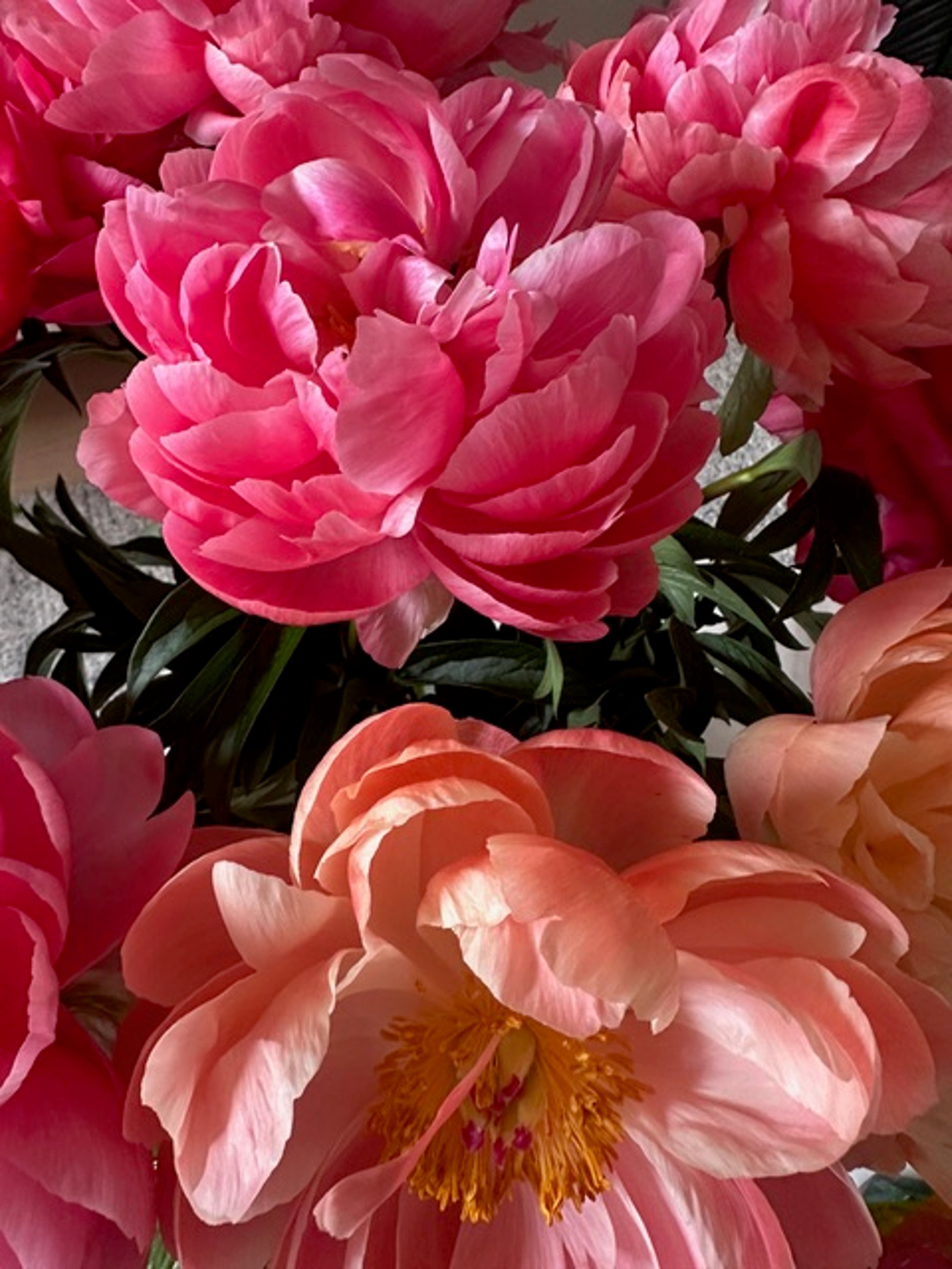 Floral styling, Decor Hire & Equipment