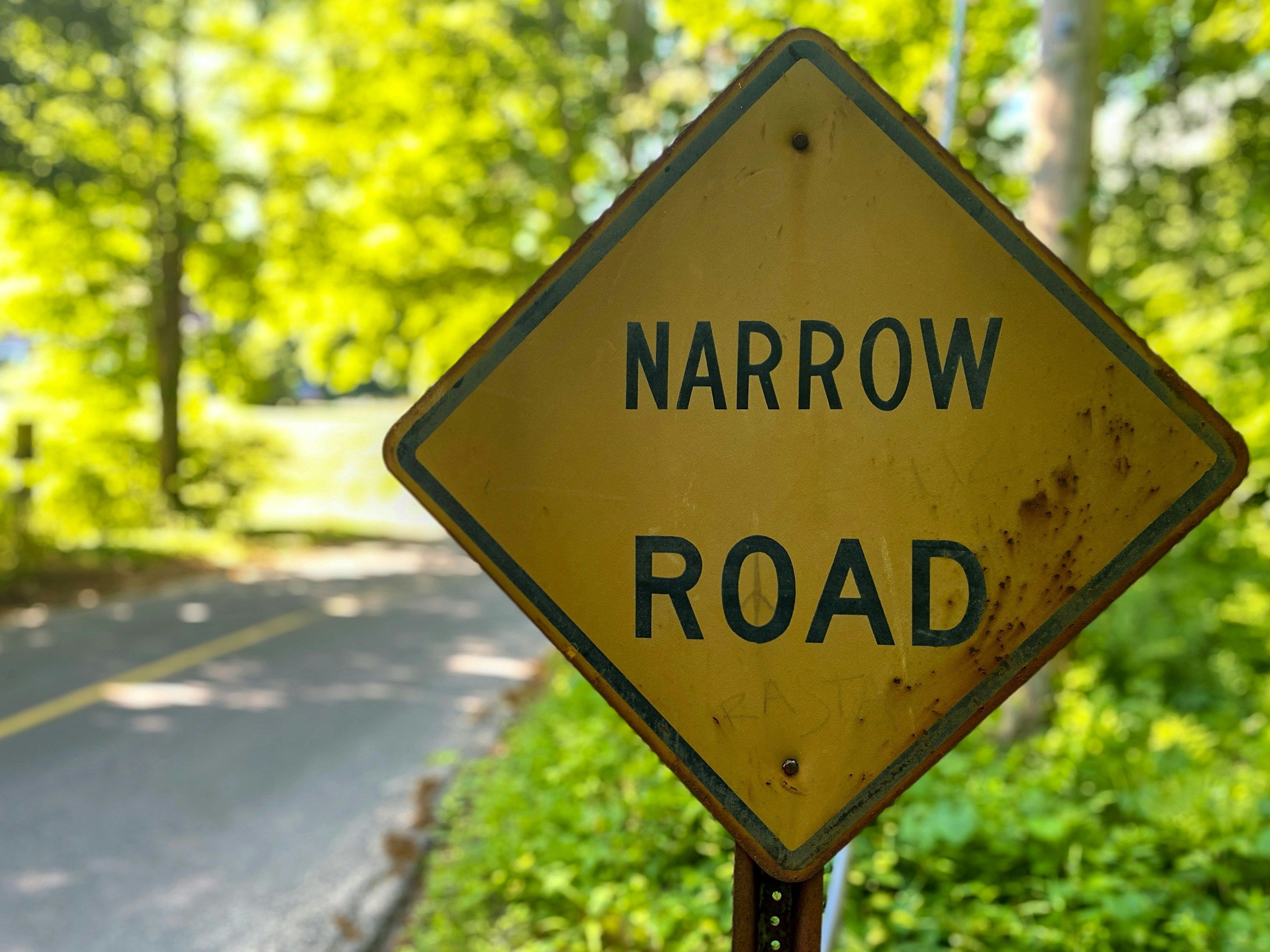 Cover image for Curing Narrow-Mindedness