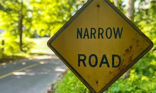 Cover image for Curing Narrow-Mindedness