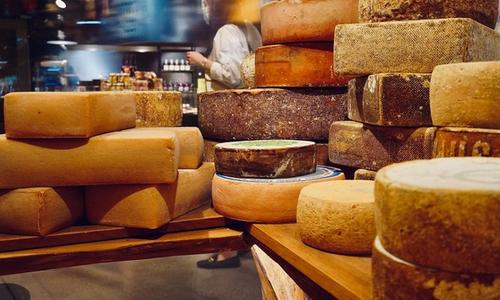 Cover image for Kashrut, Explained! - Cheese: What is the story with Kosher cheese?