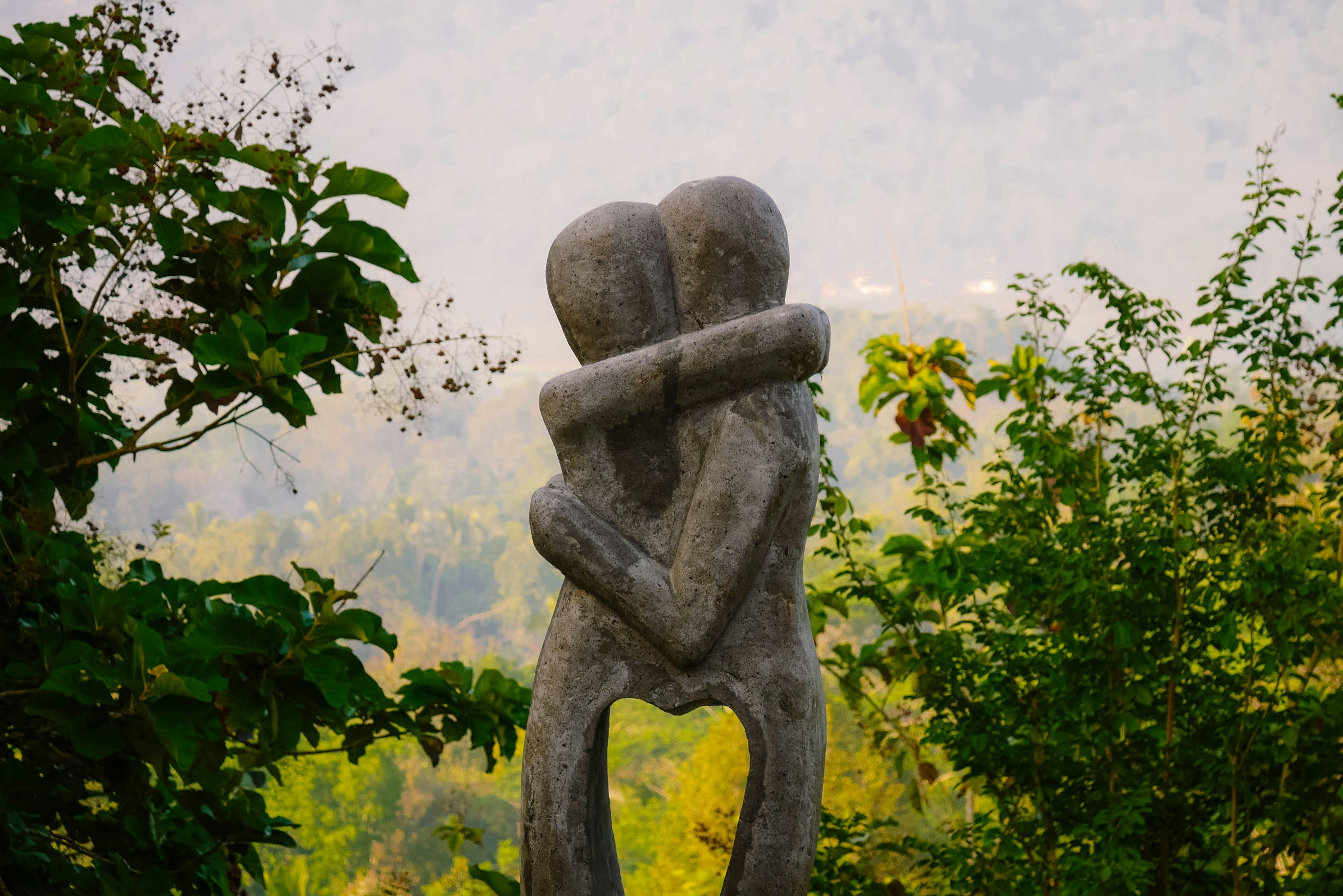 Cover image for Embracing Life