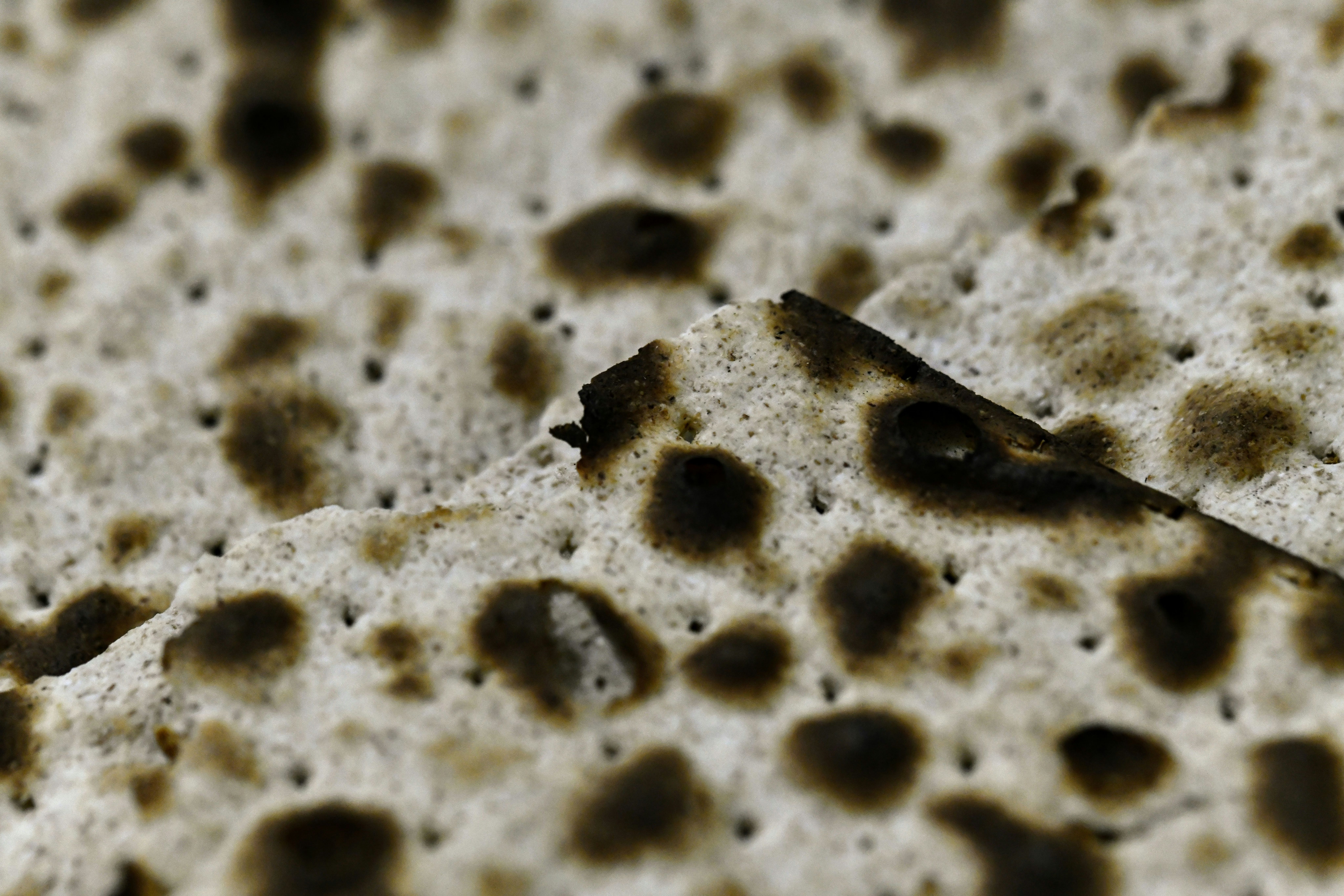 Cover image for Matzah on Erev Pesah