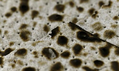 Cover image for Matzah on Erev Pesah