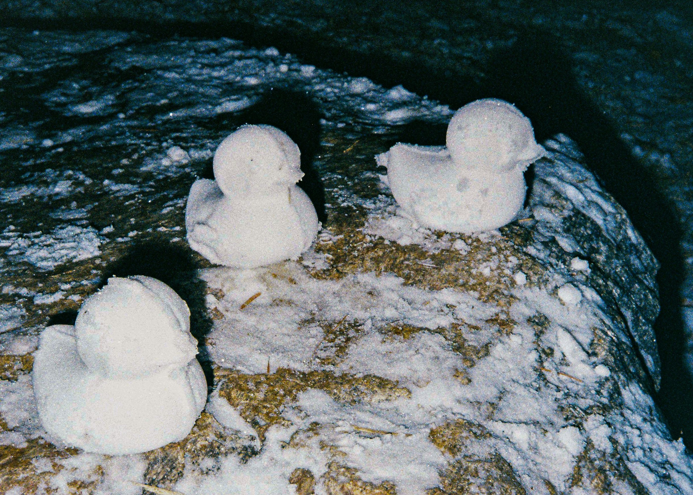 Cover image for The Meat Snowball