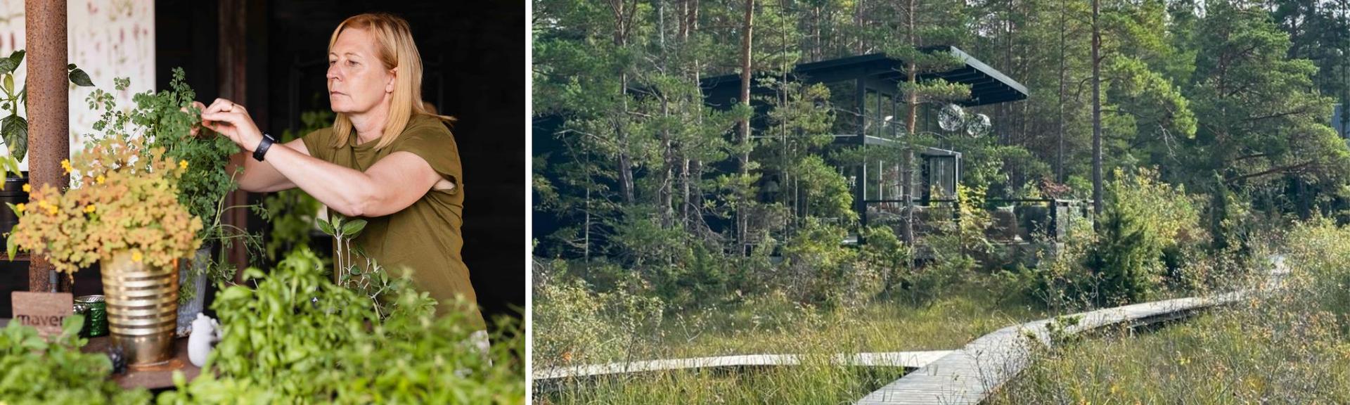 Anne Lundgren i örtateljén på Maven.