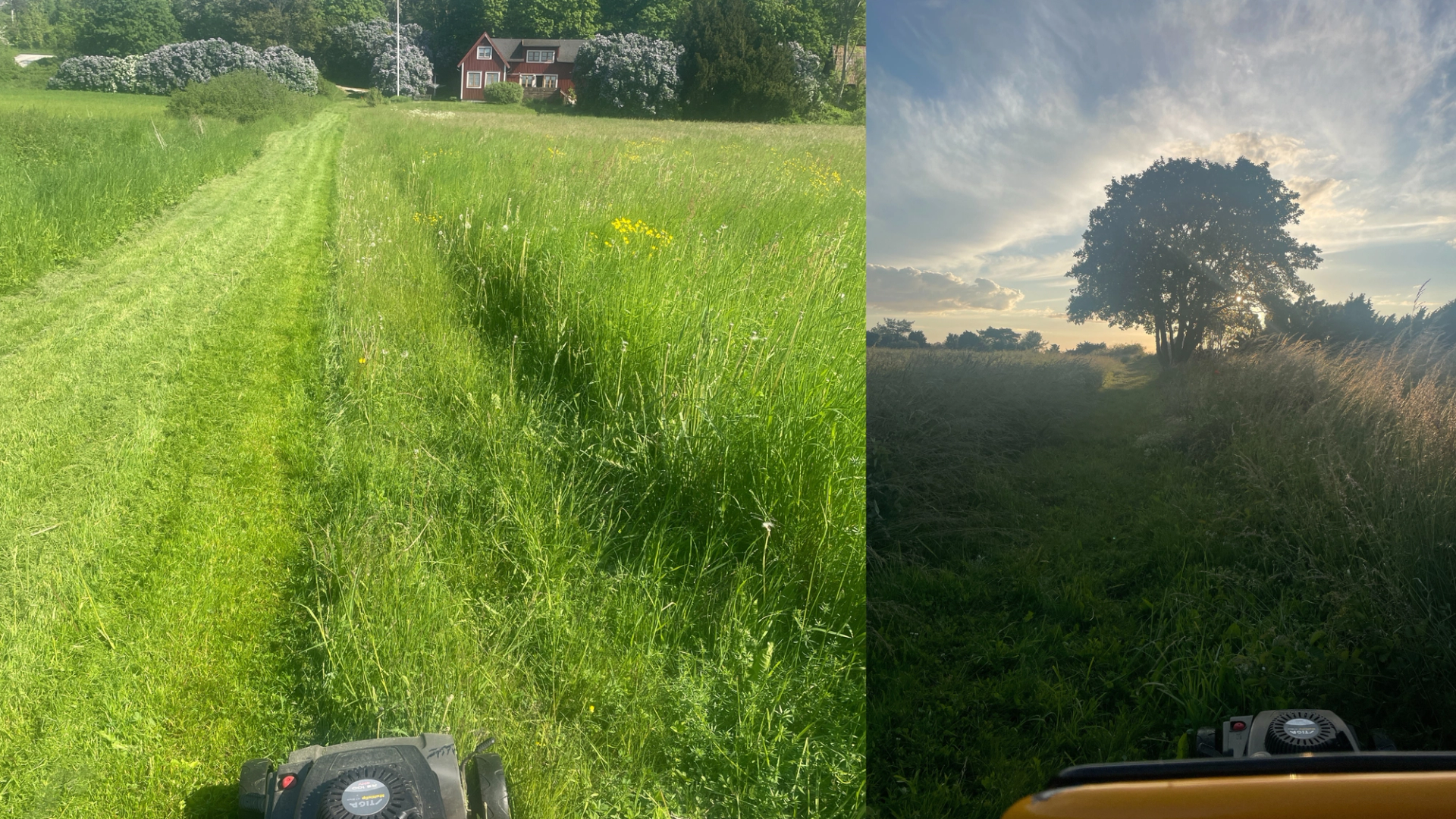 Två olika gräsklippningar i Brissund.