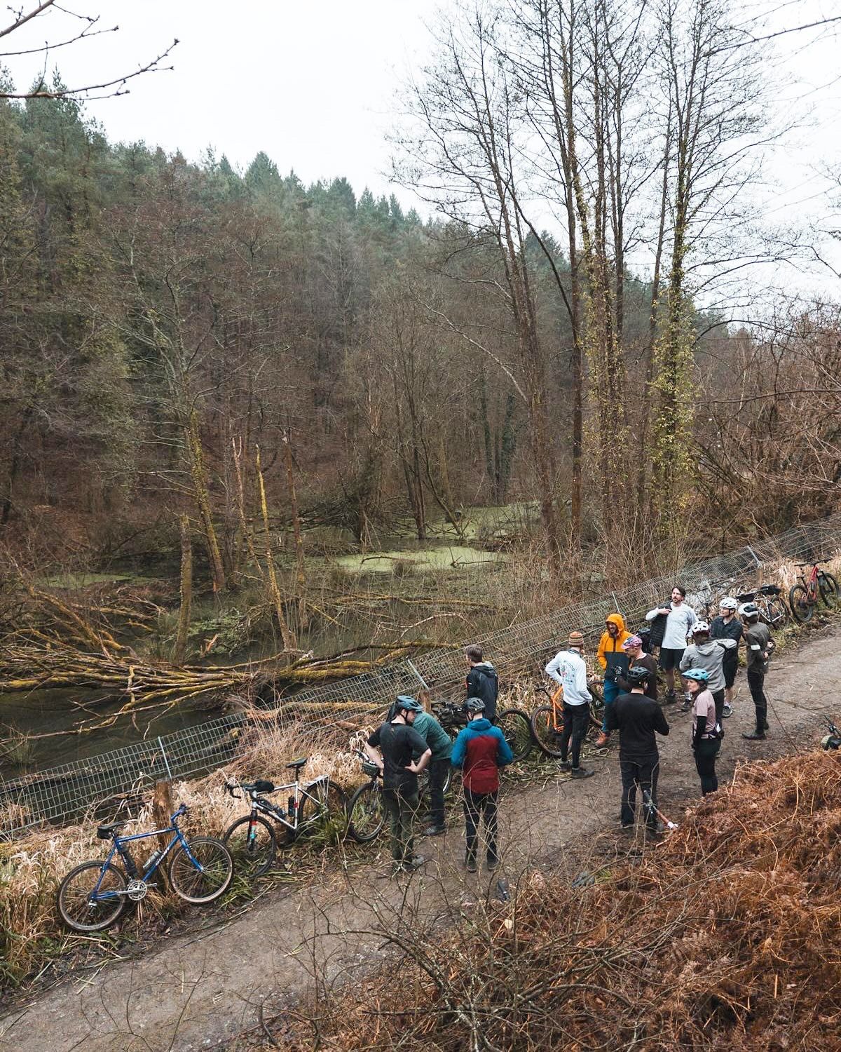 Greathough beavers // Forest of Dean