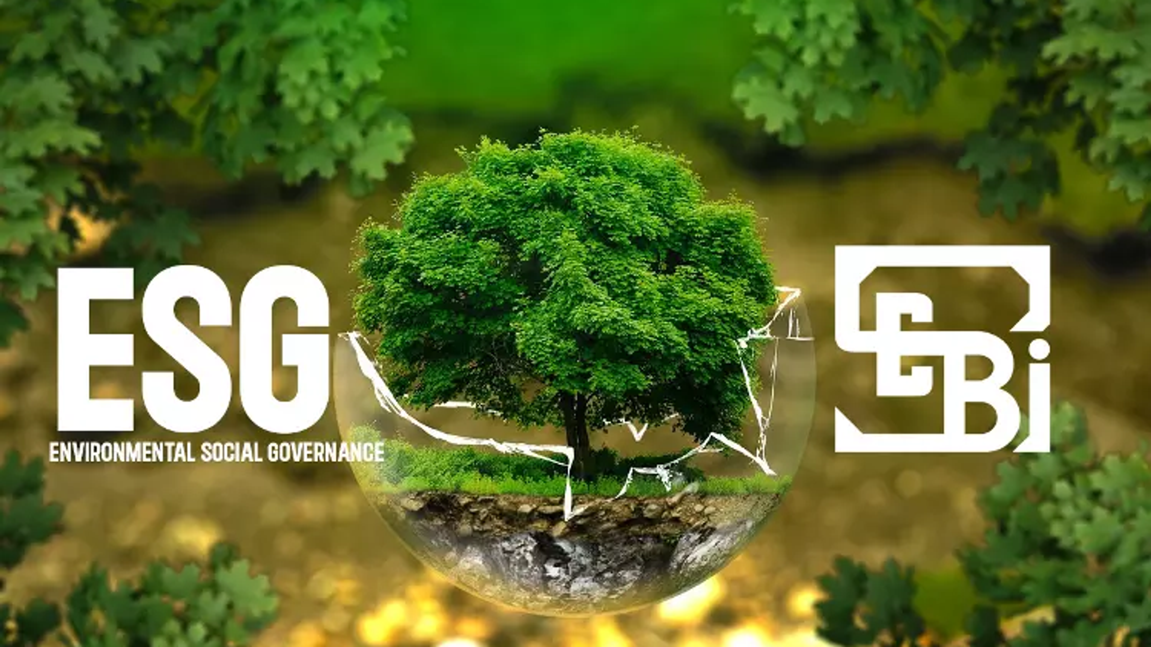 SEBI ESG transforms compliance into a competitive edge for Indian startup