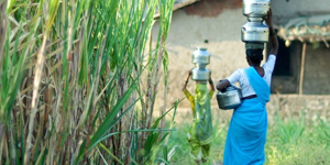 Women sugarcane workers walking through arid fields carrying tools, symbolizing climate-driven labor and reproductive sacrifice.