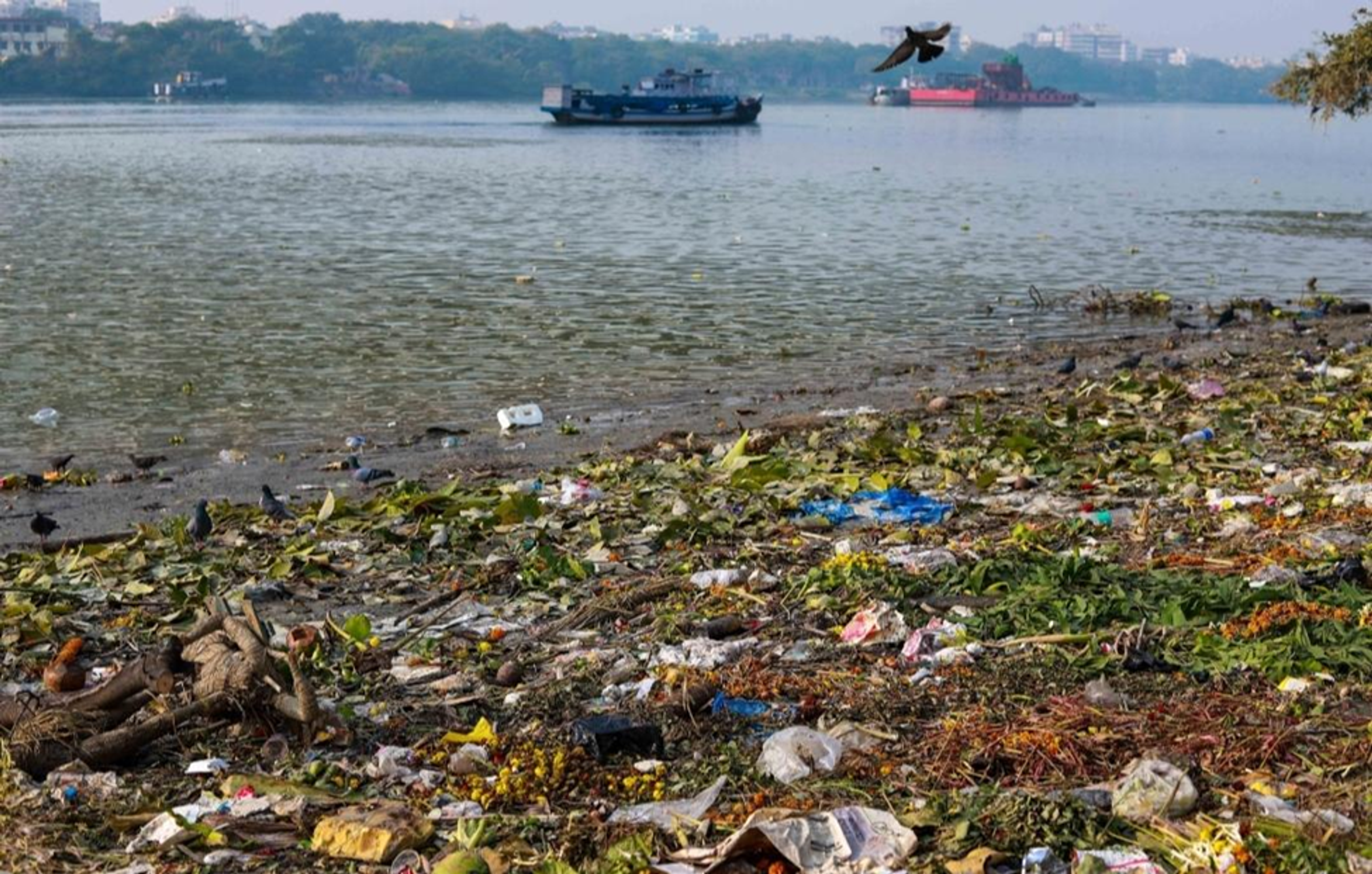 A wide shot of a riverbank heavily littered with plastic waste, organic debris, and discarded wrappers. In the background, two large industrial barges float on the murky water, while a few birds scavenge through the trash in the foreground under a hazy sky.
