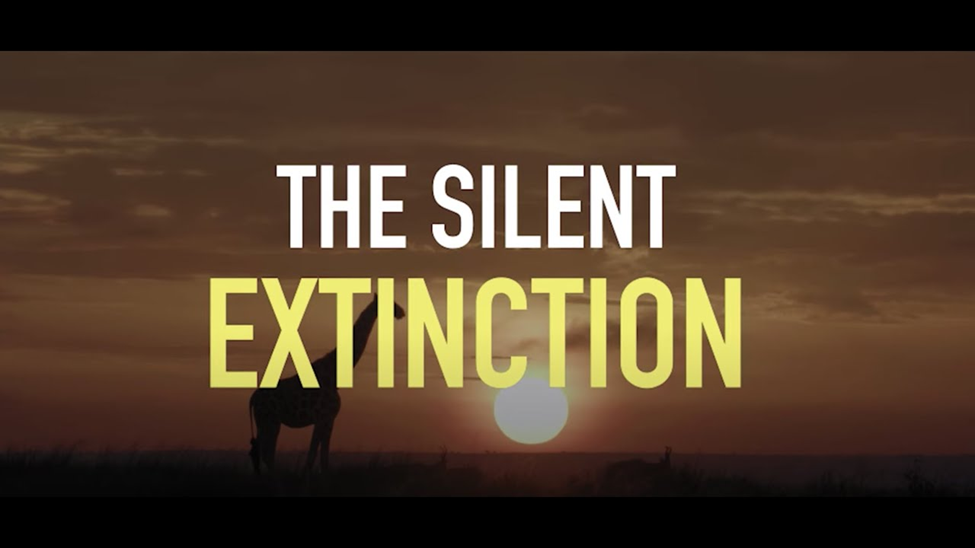 A silhouette of a giraffe stands in a grassy savanna against a deep orange sunset. Centered over the image is the large, bold text: "THE SILENT EXTINCTION," with "SILENT" in white and "EXTINCTION" in yellow.