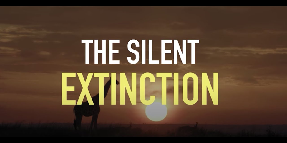 A silhouette of a giraffe stands in a grassy savanna against a deep orange sunset. Centered over the image is the large, bold text: "THE SILENT EXTINCTION," with "SILENT" in white and "EXTINCTION" in yellow.