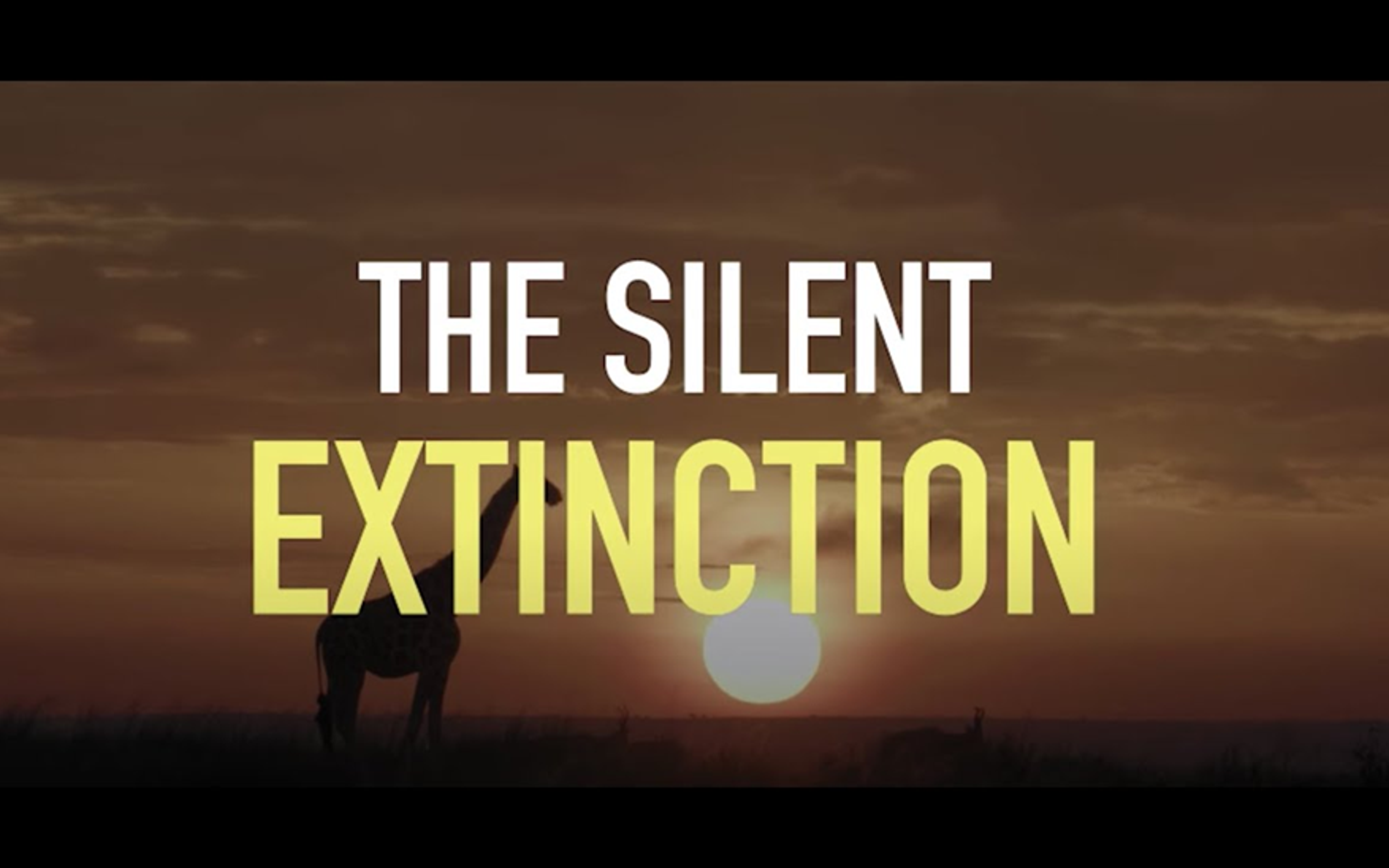 A silhouette of a giraffe stands in a grassy savanna against a deep orange sunset. Centered over the image is the large, bold text: "THE SILENT EXTINCTION," with "SILENT" in white and "EXTINCTION" in yellow.