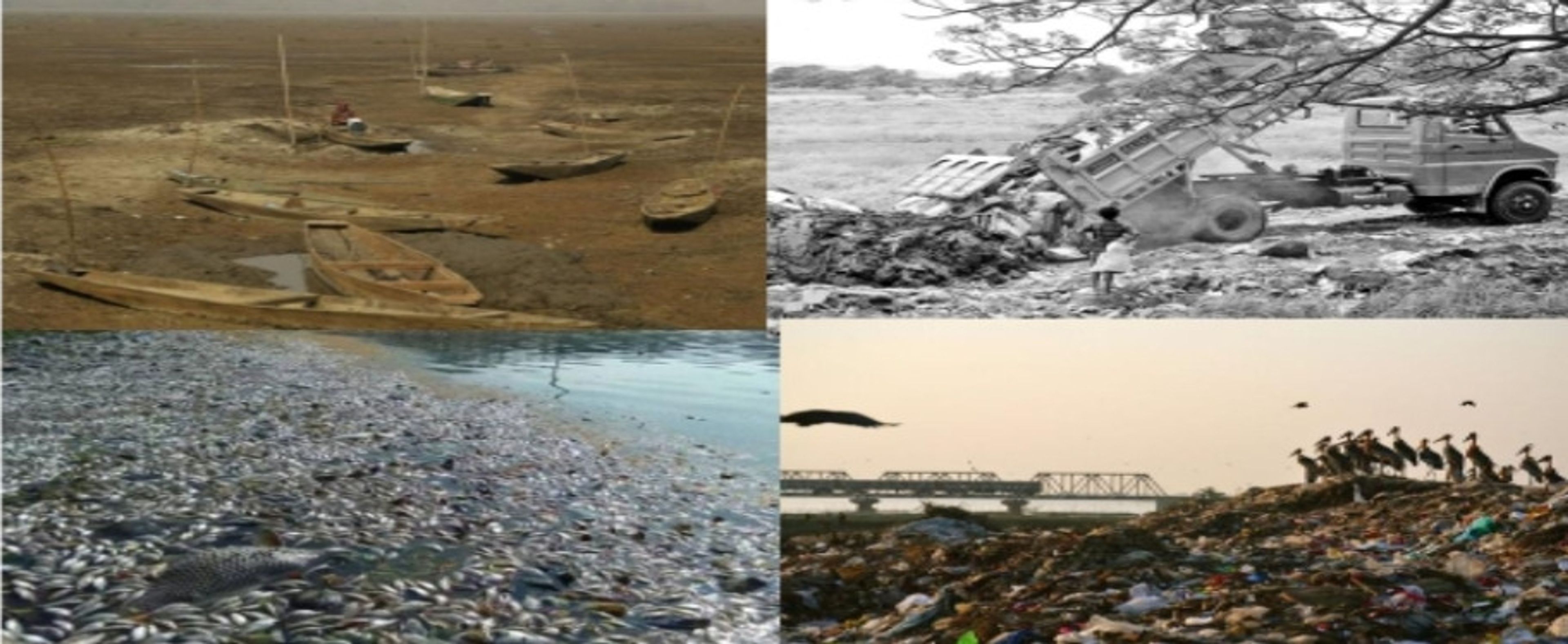 Dried and Dirty River/Land