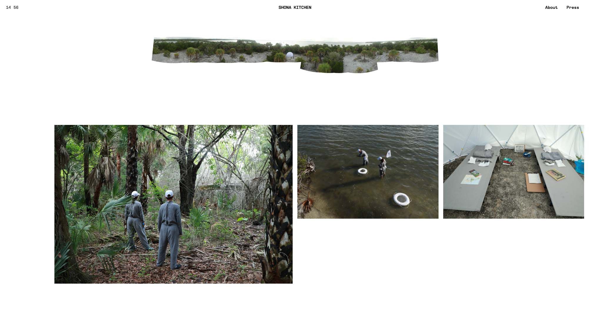 Shona Kitchen — image 3
