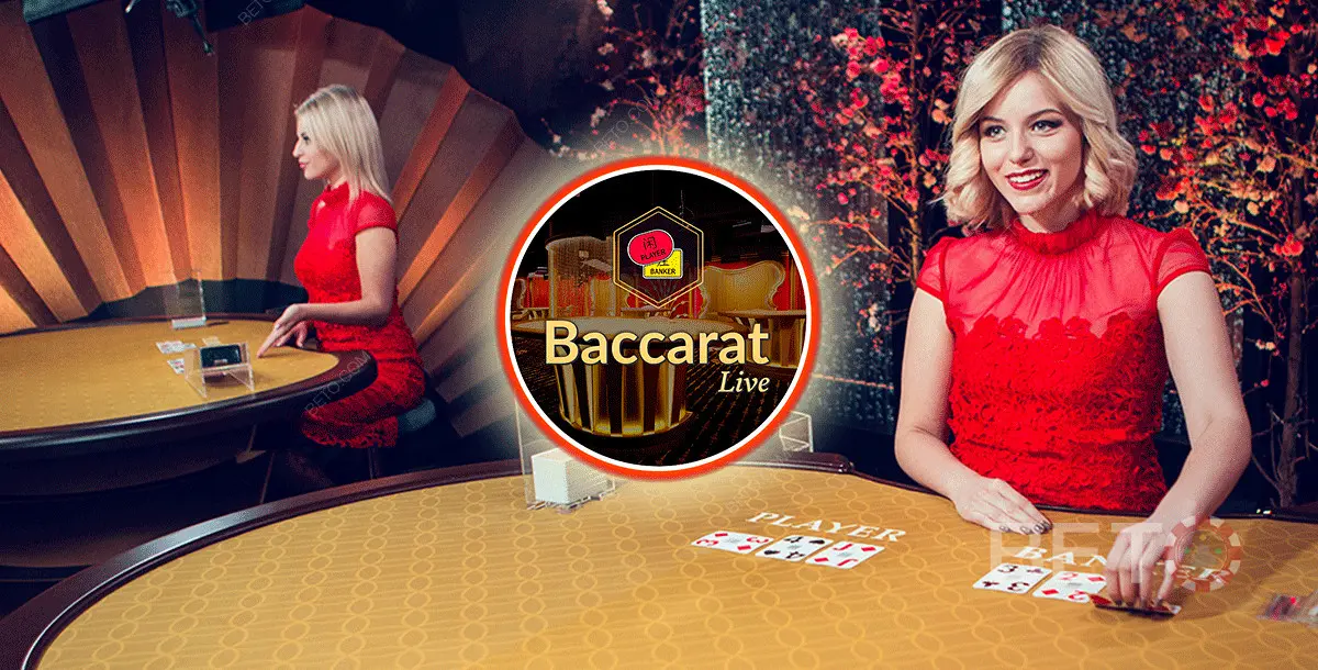Live Baccarat 1 - Play Free Demo, Review, Strategy & Tips For Winning