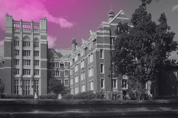 Accessibility Laws for Public Colleges