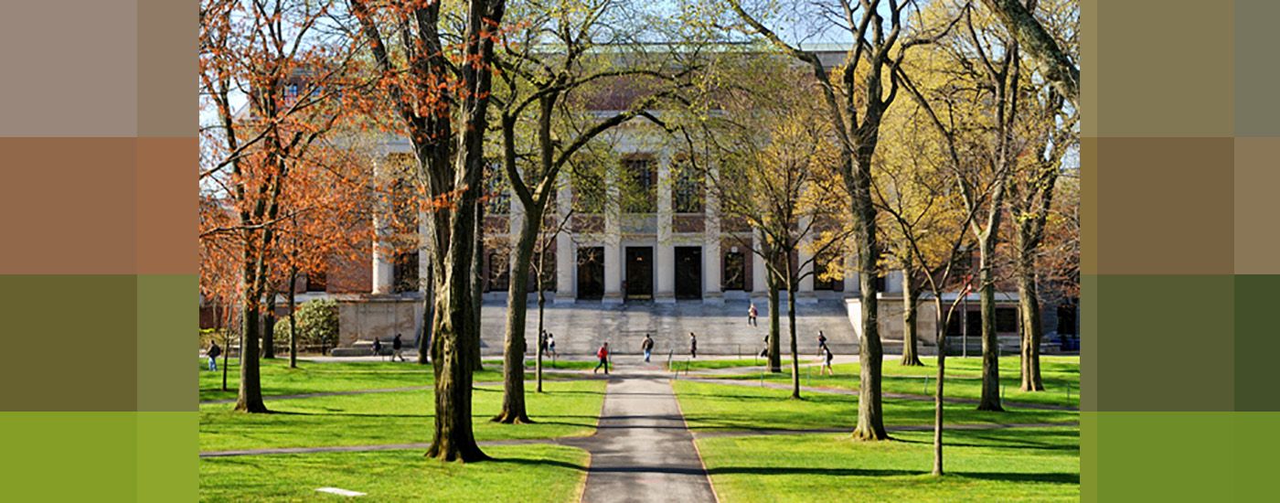 504 vs. 508 vs. Title III: Accessibility Laws for Private Colleges