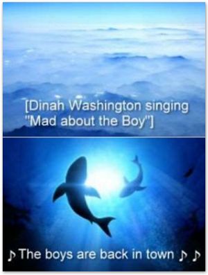 Screenshot of a video with caption: