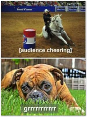Screenshot of a rodeo with sound effect captioned:
