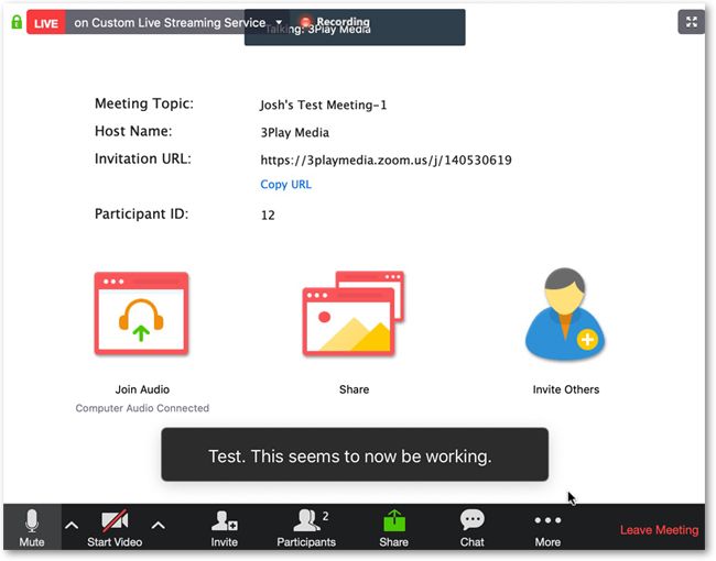 screenshot of zoom