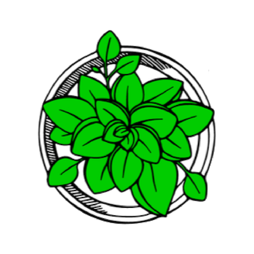 succulent vector icon