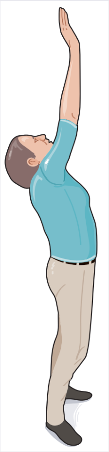 Prothèse de hanche — illustration 12