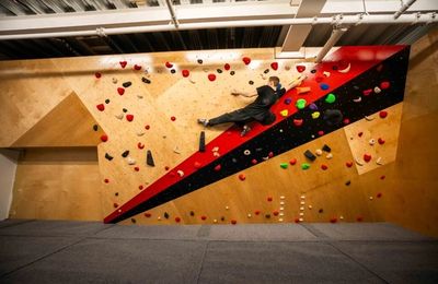 Courses & Coaching