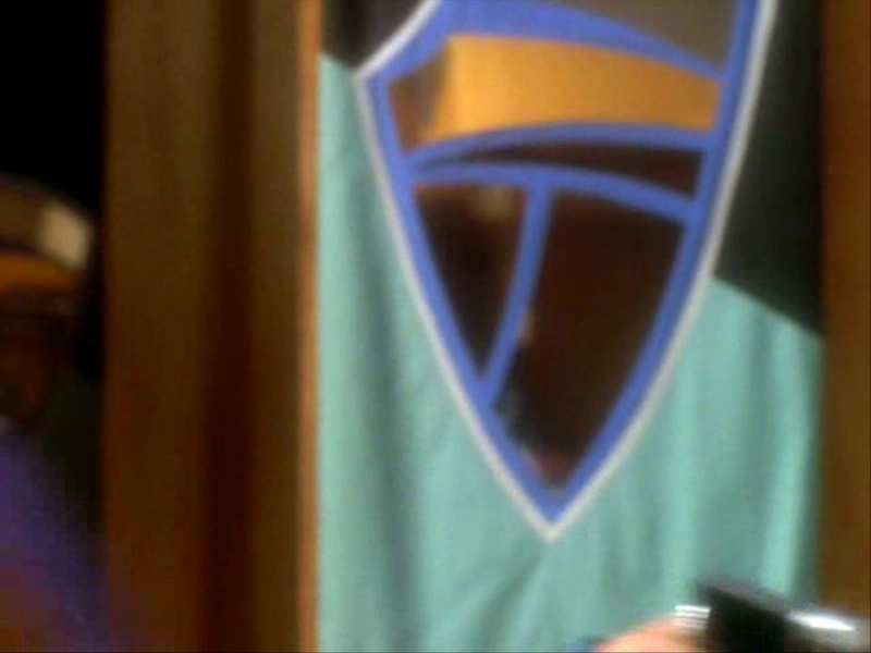 10_Enaran_Banner_Voyager_Remember.png
