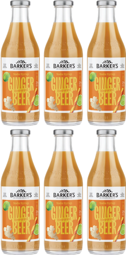Brewed Ginger Beer Soda Syrup (6x710ml)