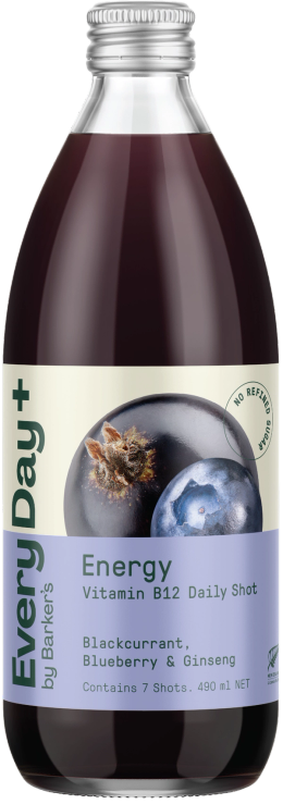 EveryDay+ Blackcurrant, Blueberry & Ginseng Energy Daily Shots 490ml