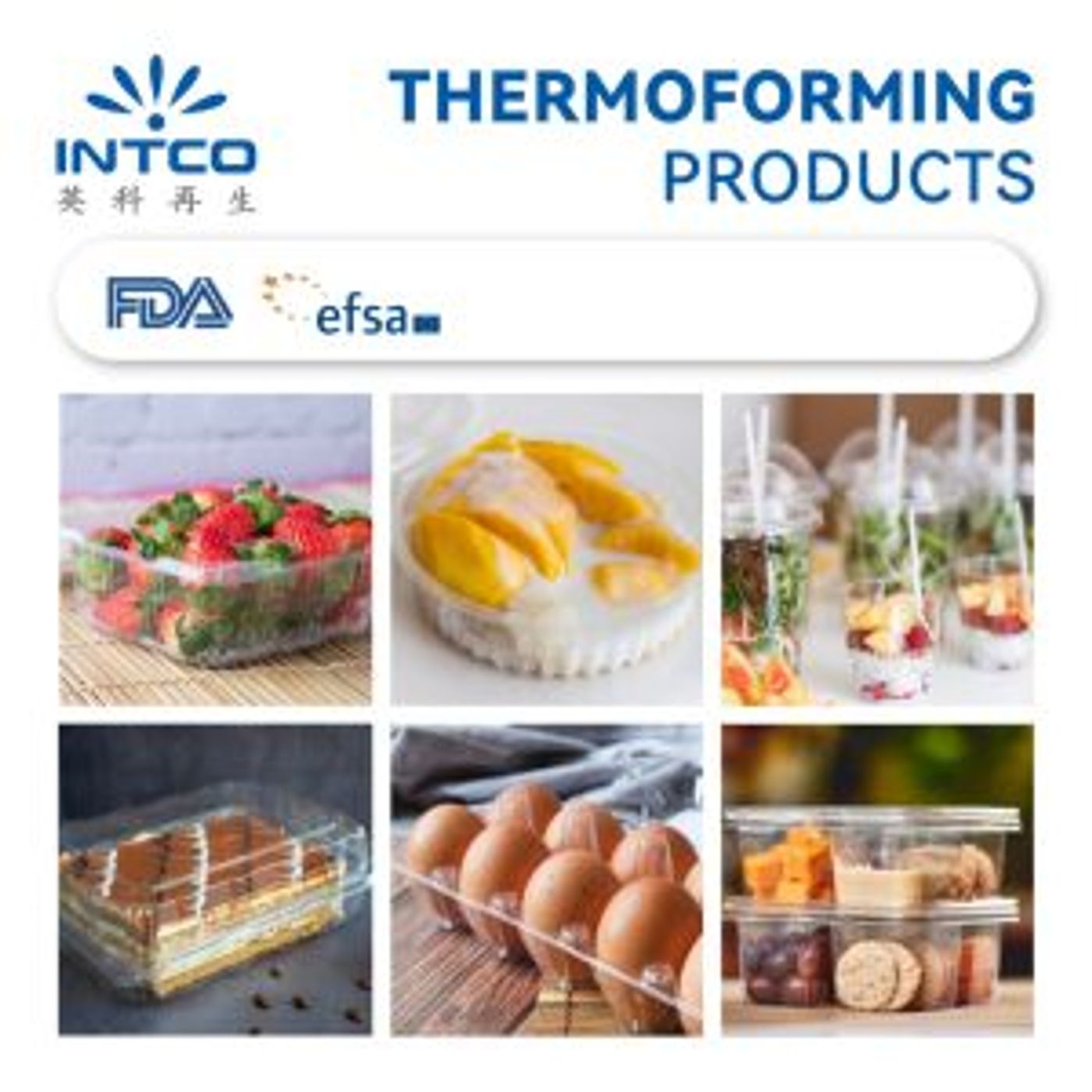 INTCO Food Containers