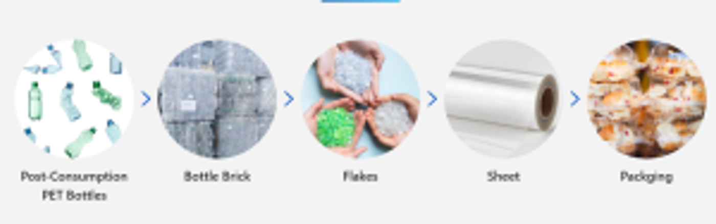 The Complete Process: Turning PET Bottles into Clean Flakes, Granules, and Sheets插图5