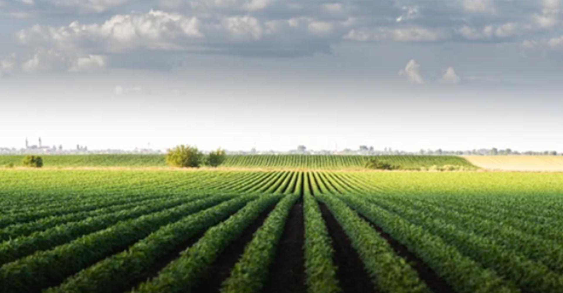 Agriculture
