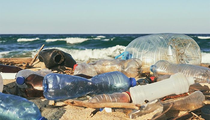 PET bottles washed up on a beach